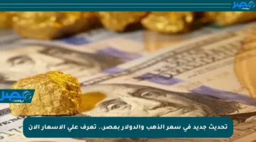 تحديث جديد في سعر الذهب والدولار بمصر.. تعرف على الأسعار الآن